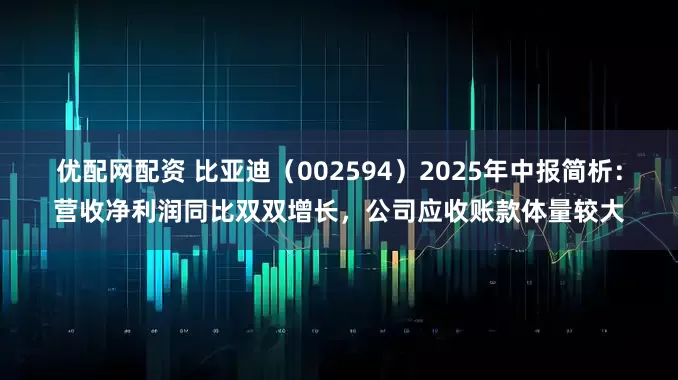 优配网配资 比亚迪（002594）2025年中报简析：营收净利润同比双双增长，公司应收账款体量较大