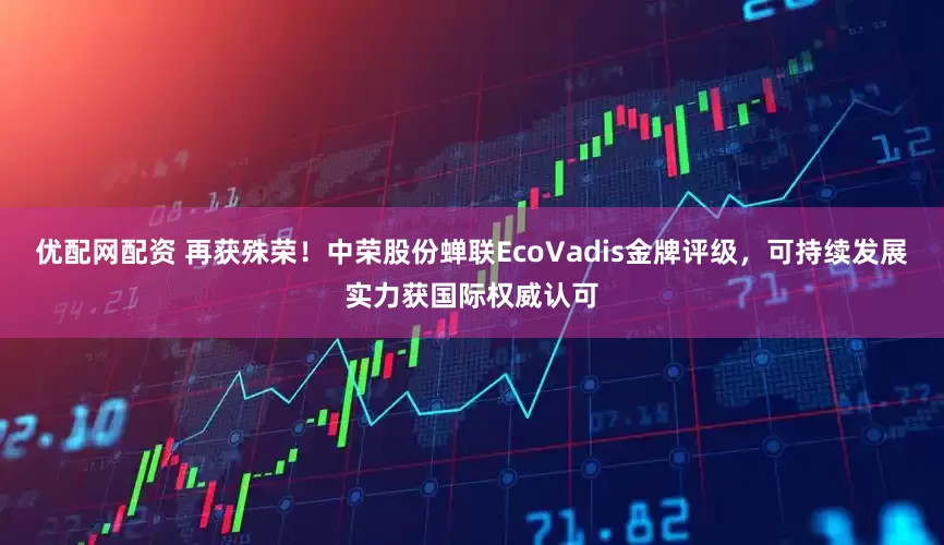 优配网配资 再获殊荣！中荣股份蝉联EcoVadis金牌评级，可持续发展实力获国际权威认可